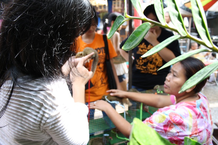 Thailand 43