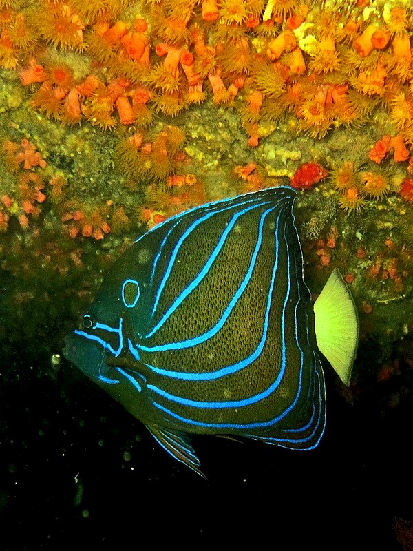 Photo Bintan 1