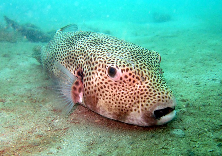 Photo Bintan 26