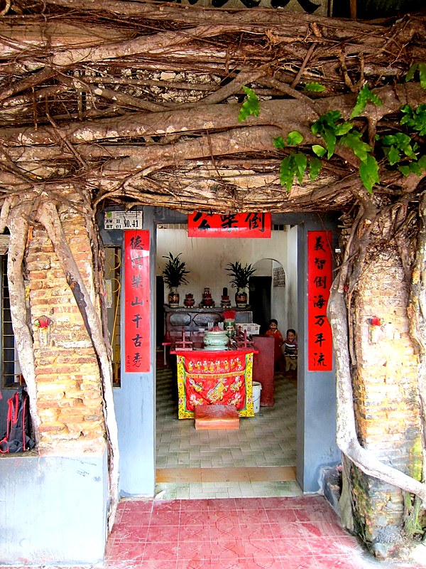 Chinese Bintan 15