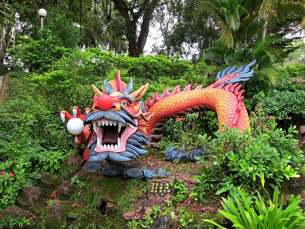 Chinese Bintan 21