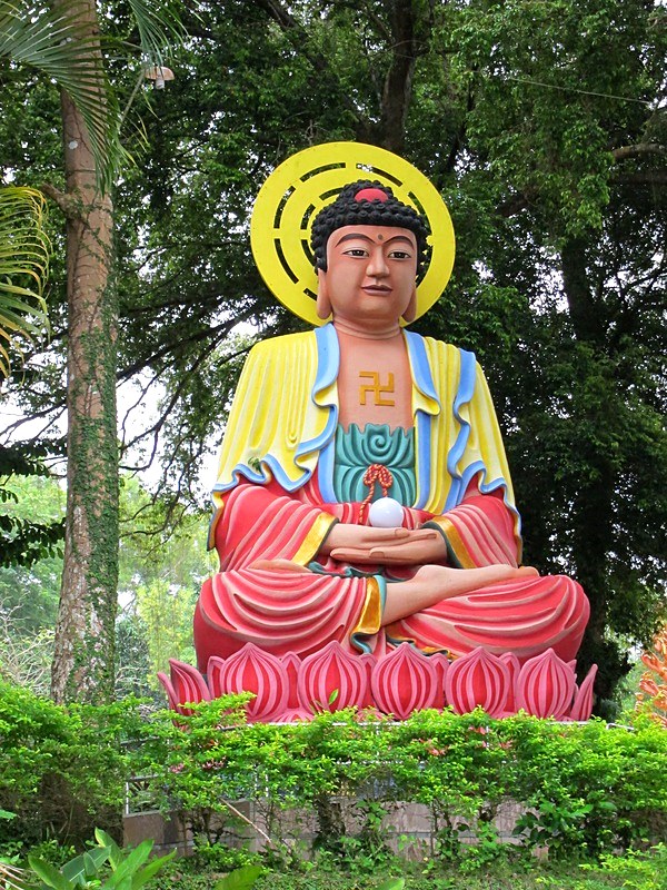 Chinese Bintan 22