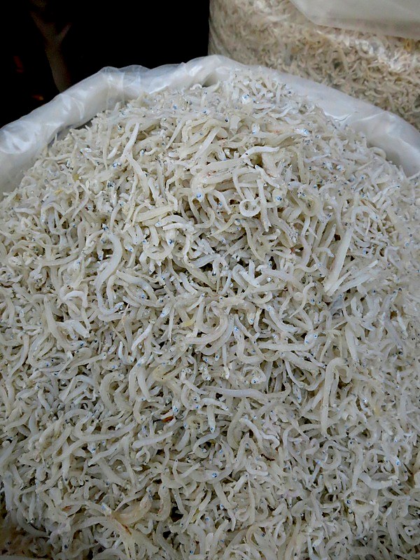 Ikan Billis 8
