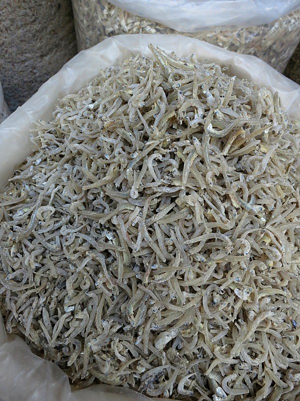 Ikan Billis 10
