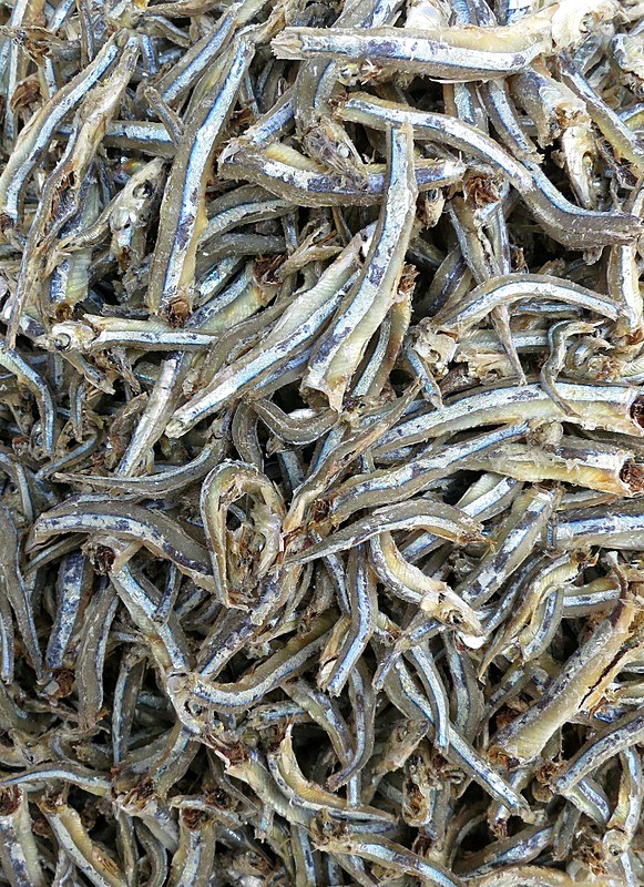 Ikan Billis 11