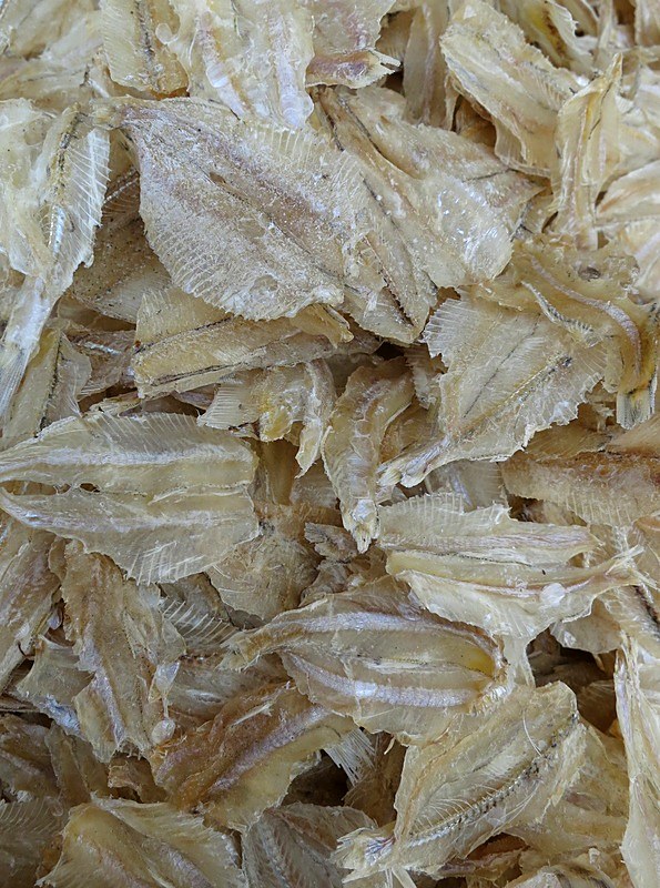 Ikan Billis 12