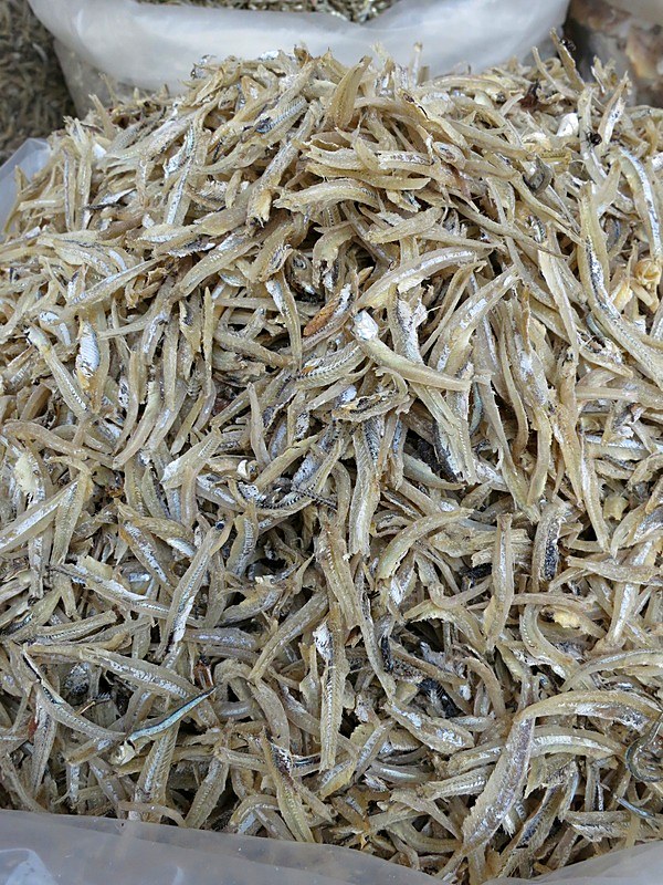 Ikan Billis 14