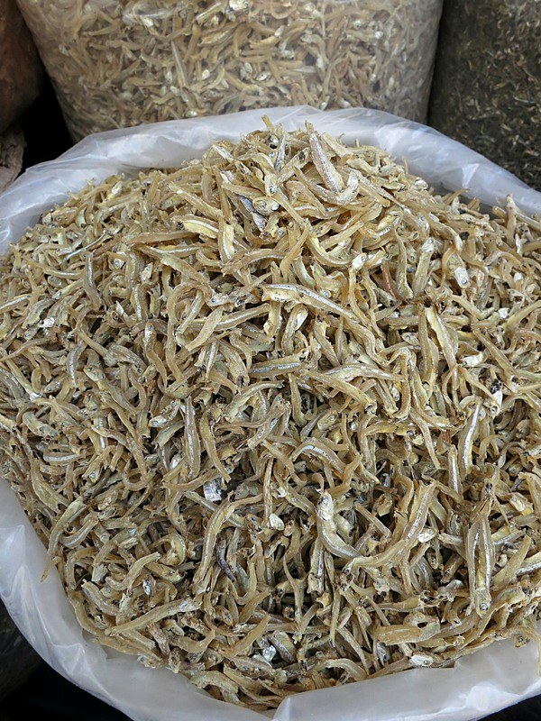 Ikan Billis 15
