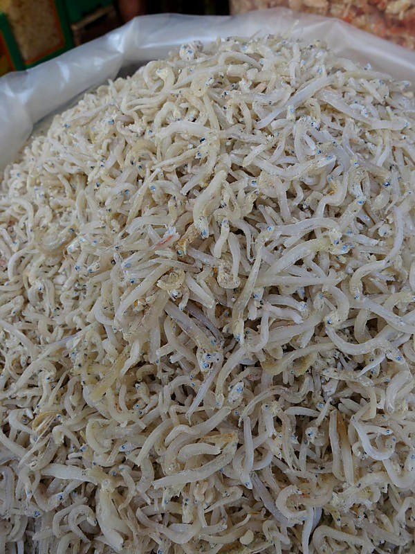 Ikan Billis 17
