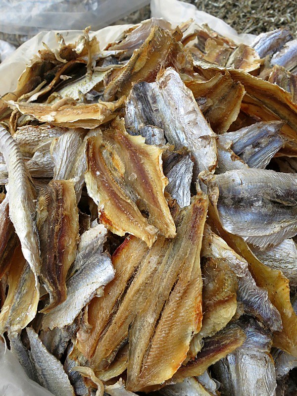 Ikan Billis 18