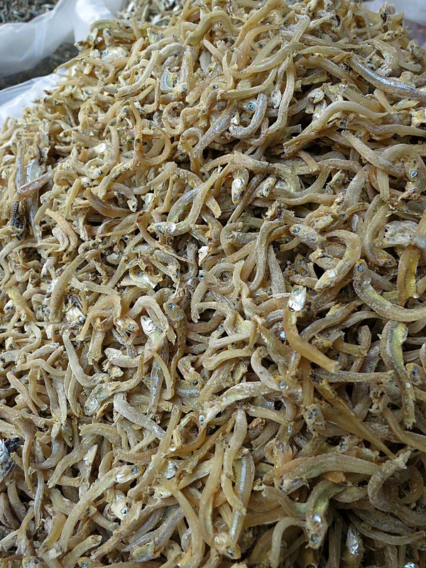 Ikan Billis 19