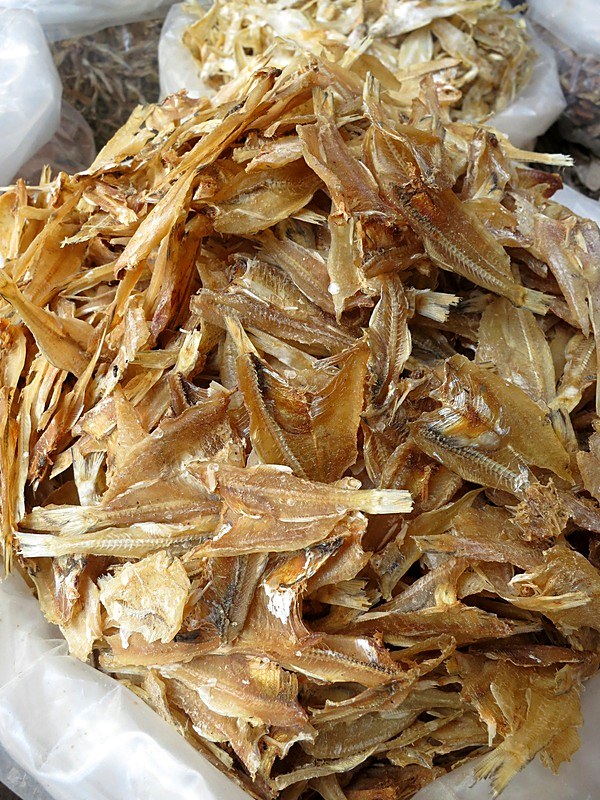 Ikan Billis 21