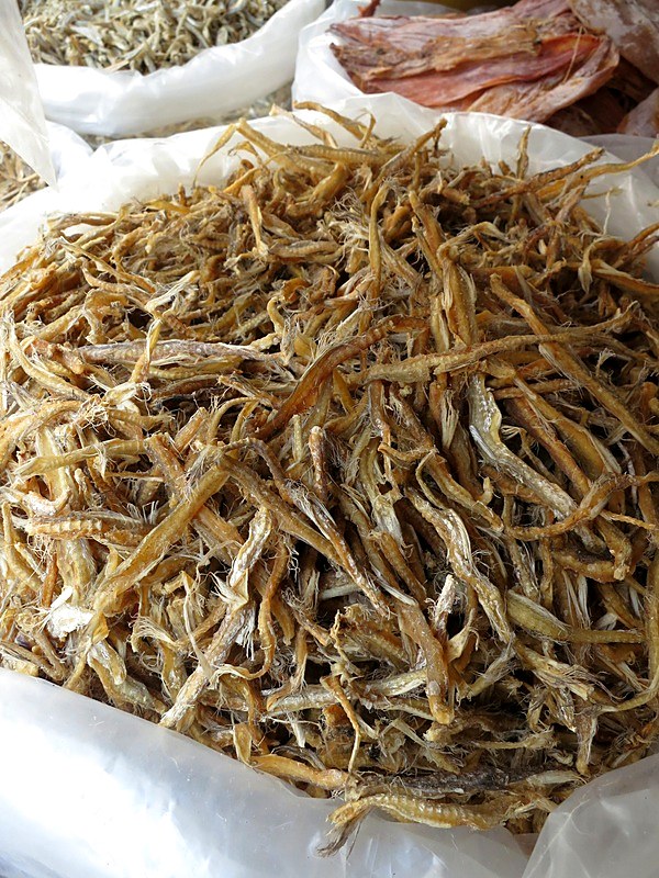 Ikan Billis 23