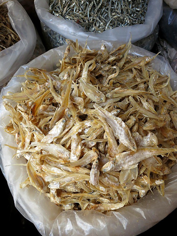 Ikan Billis 24