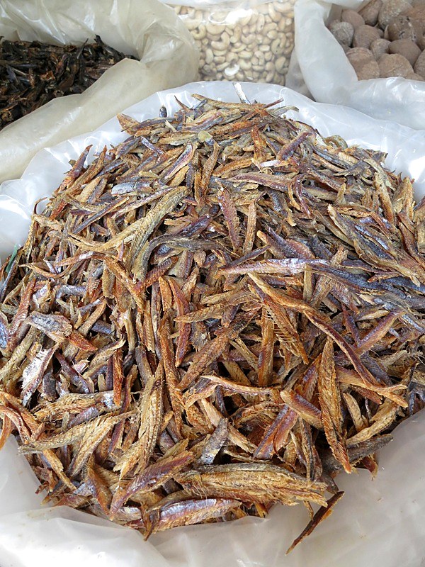Ikan Billis 25