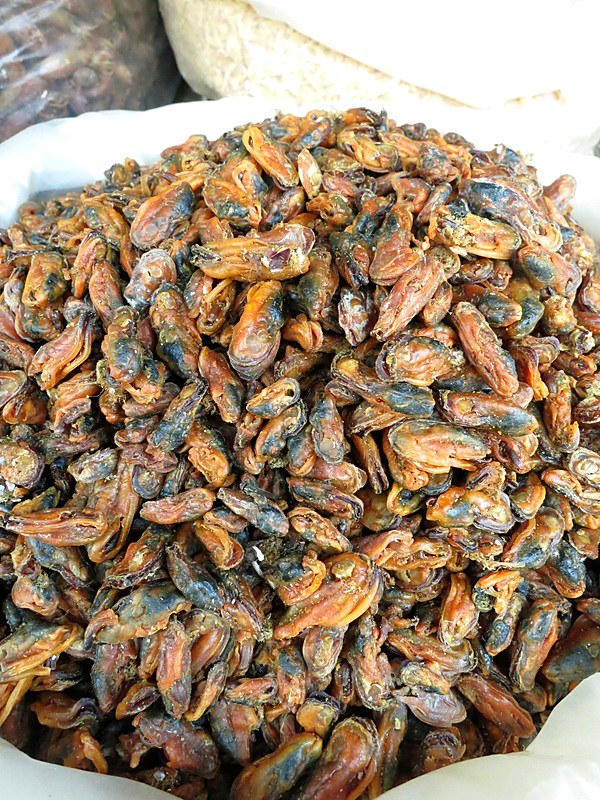 Ikan Billis 26