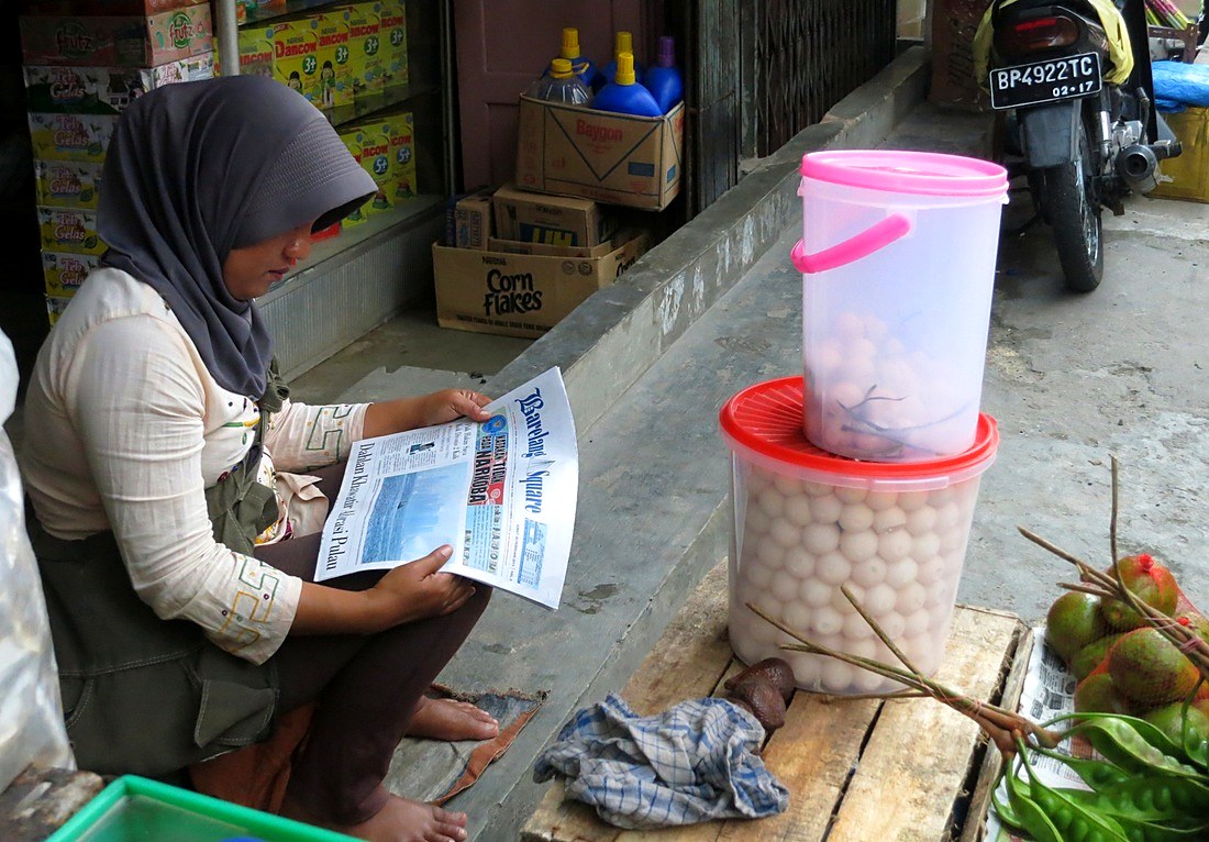 Ikan Billis 28