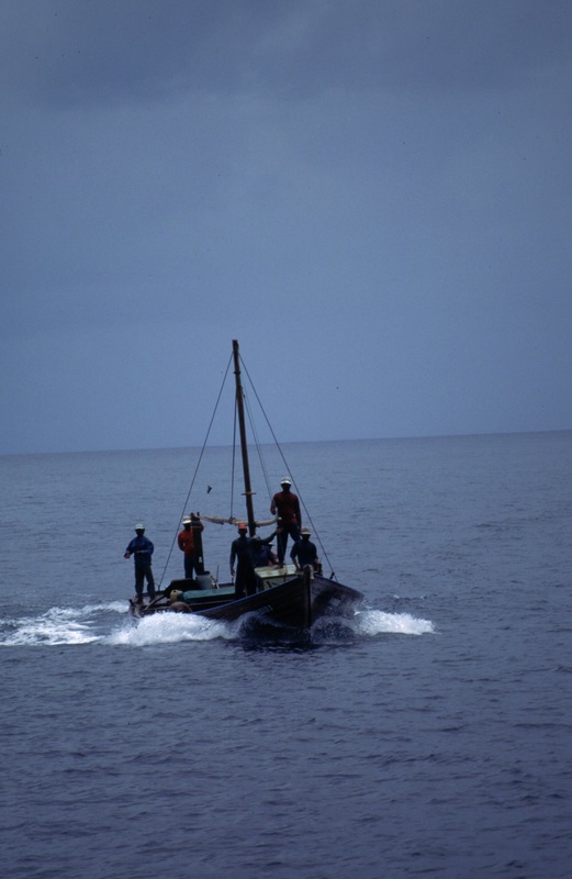 Maldives 27