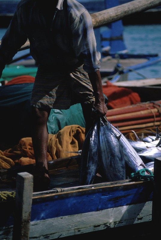 Maldives 40