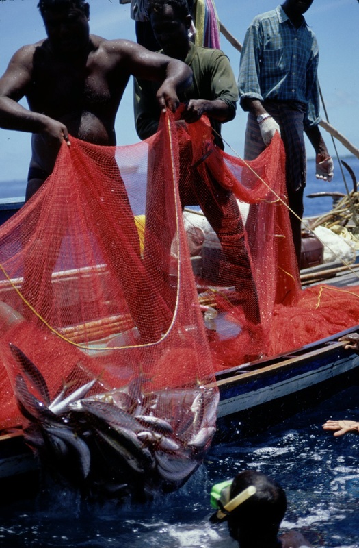 Maldives 72