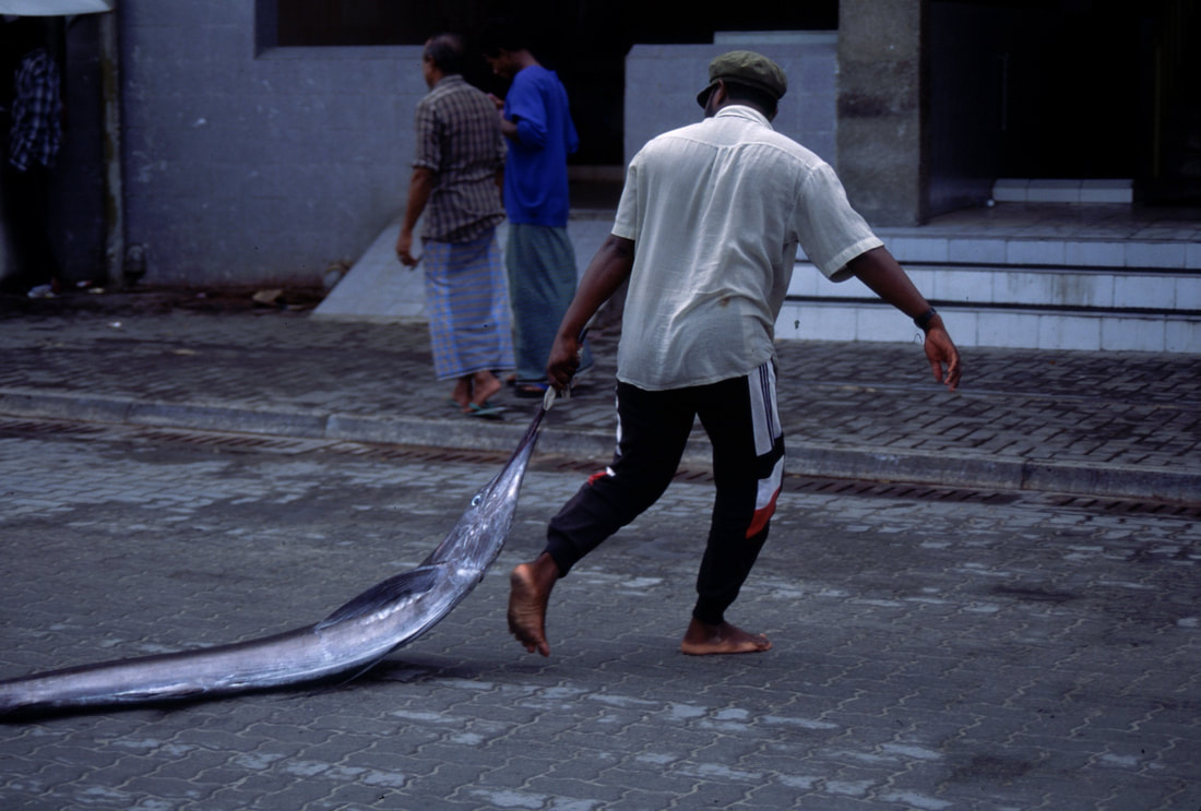 Maldives 94