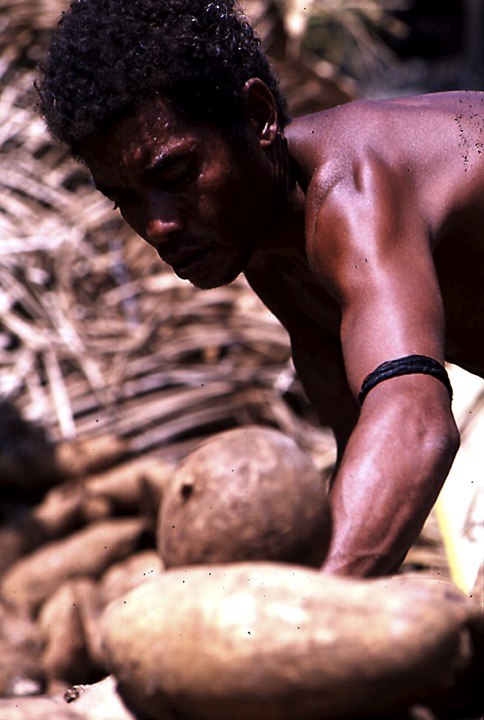 Melanesia 4