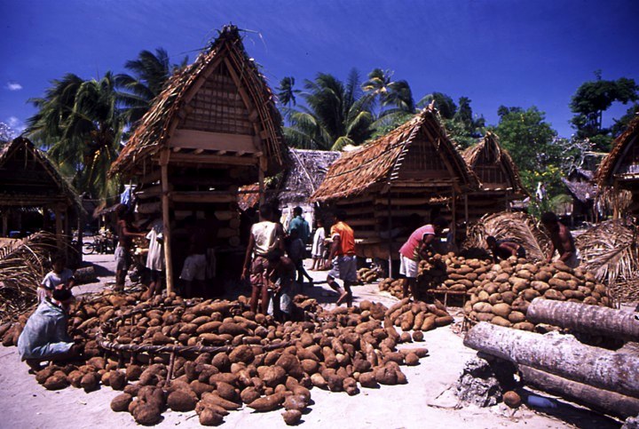 Melanesia 7