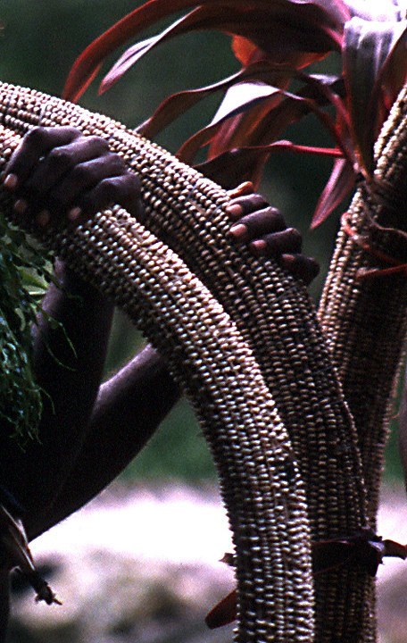 Melanesia 20