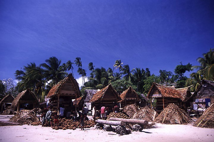Melanesia 22