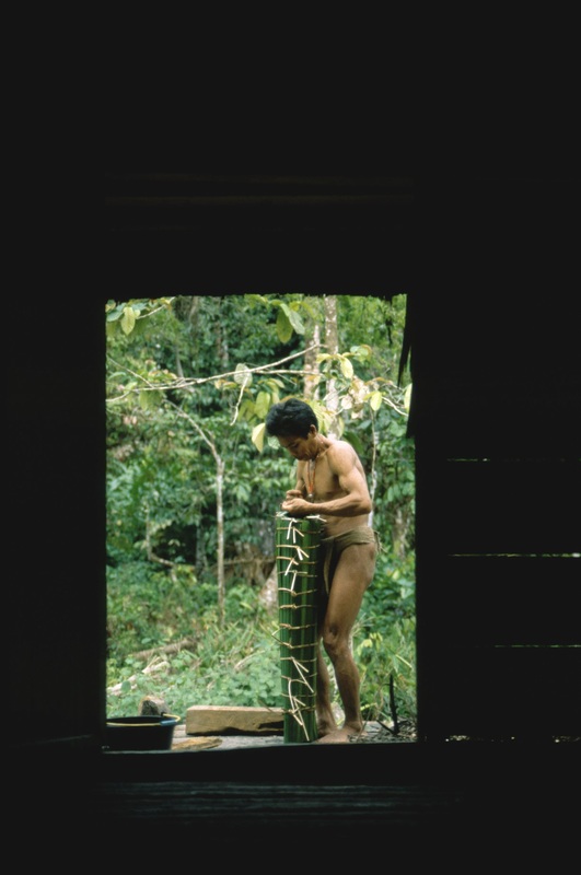 Mentawai 7