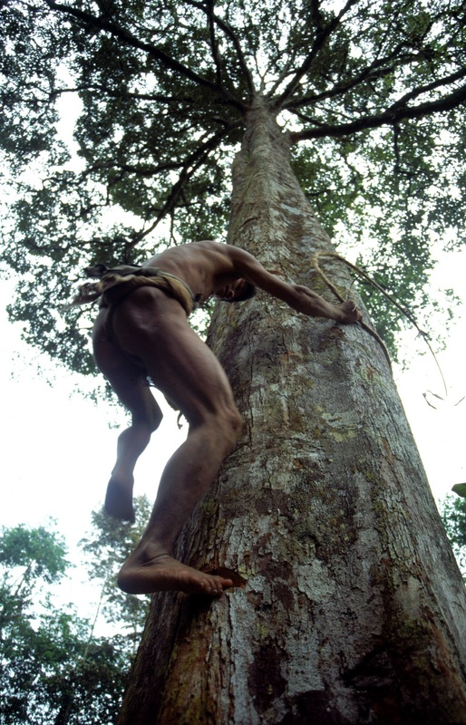 Mentawai 13