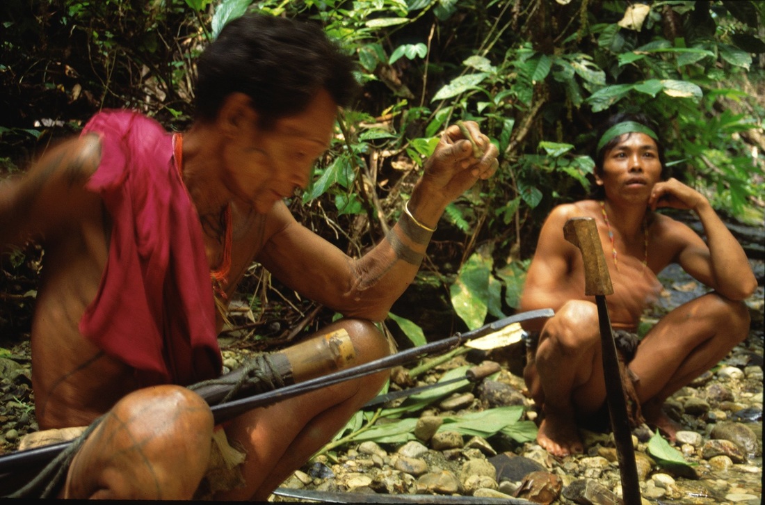 Mentawai 18