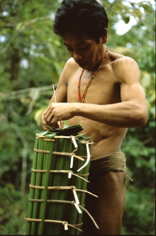 Mentawai 25