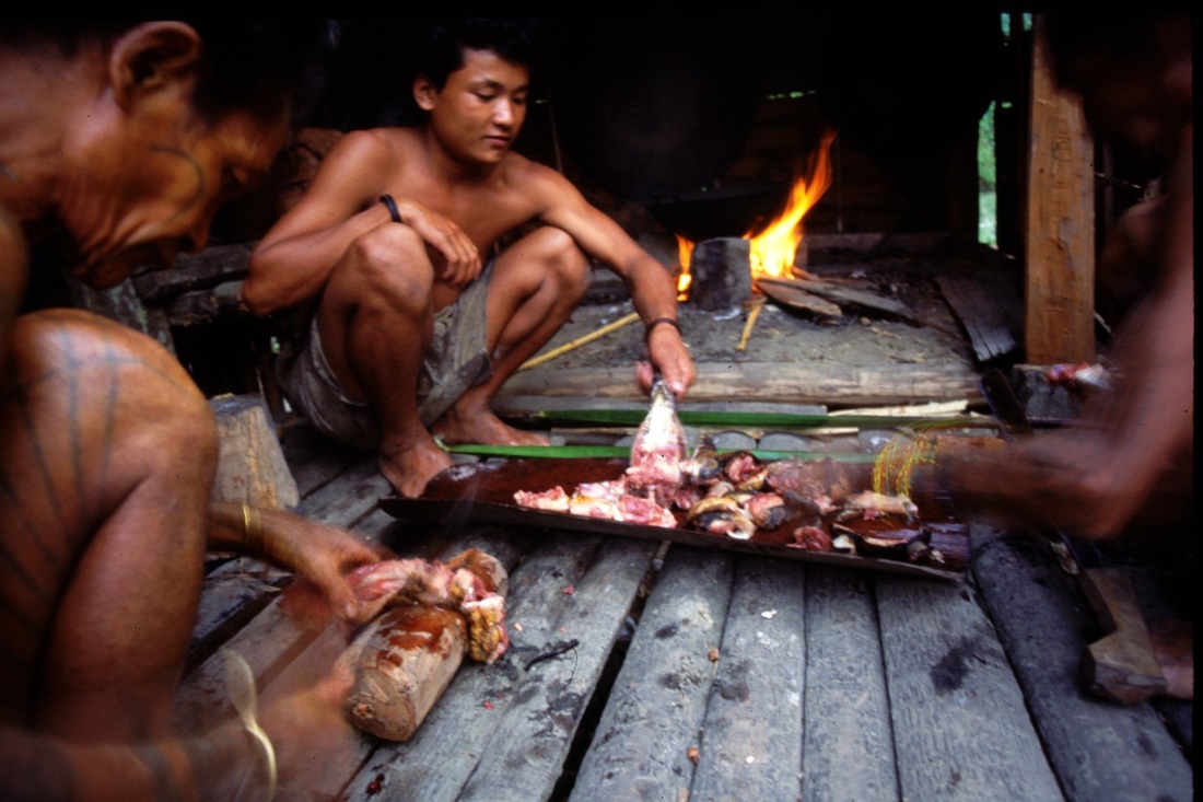 Mentawai 35