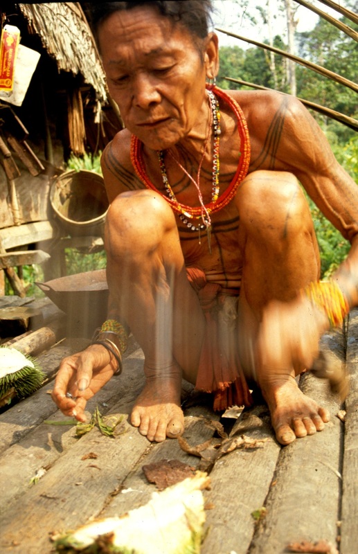 Mentawai 45