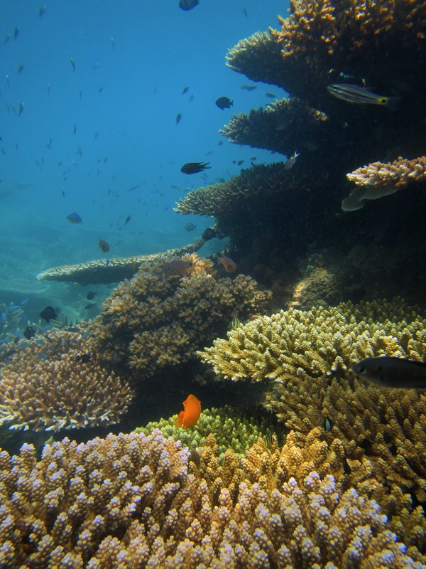 Merapas Expedition 3