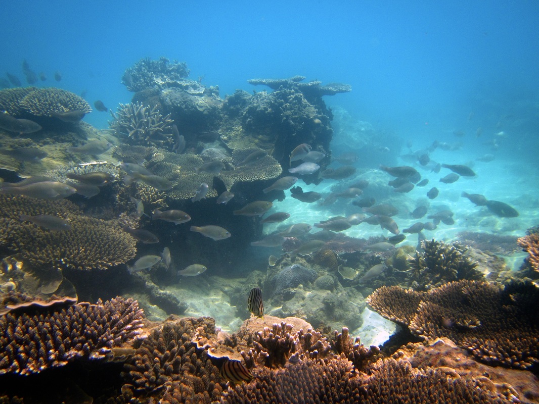 Merapas Expedition 58
