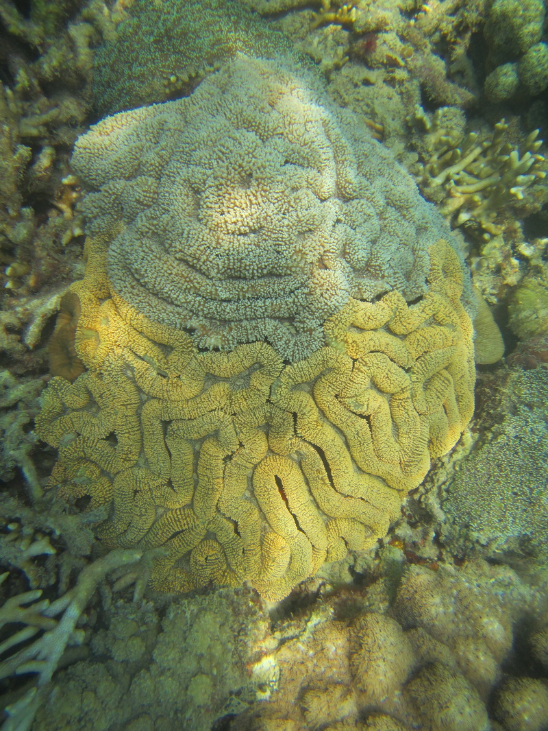 Merapas Expedition 70