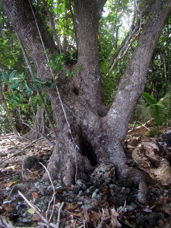 Merapas Expedition 211