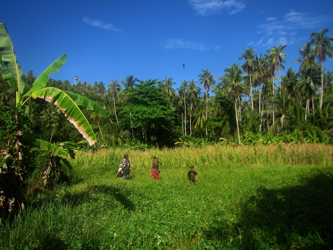 Merapas Expedition 243