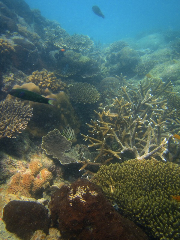 Merapas Expedition 246