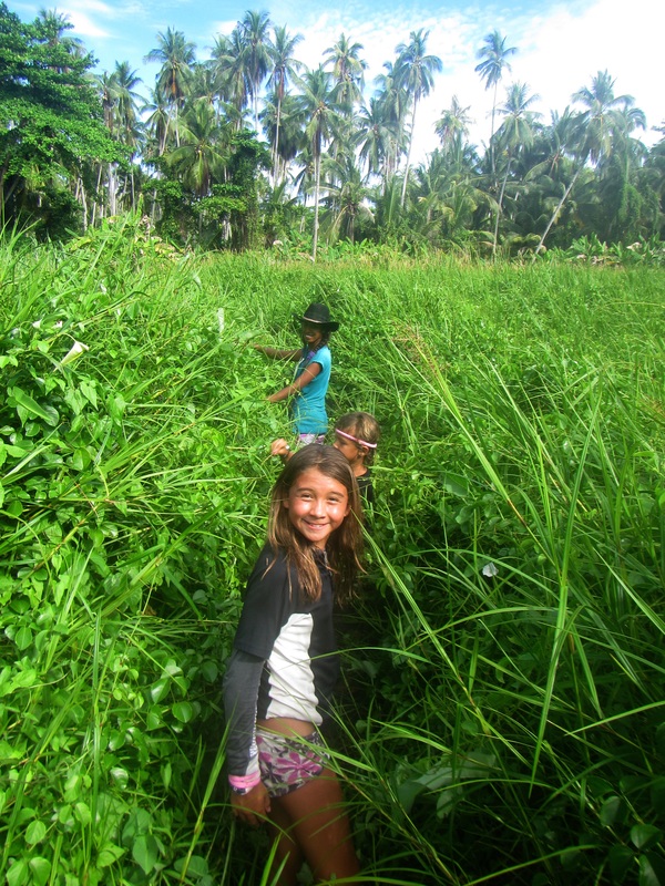 Merapas Expedition 250