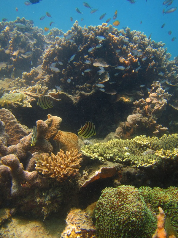 Merapas Expedition 276