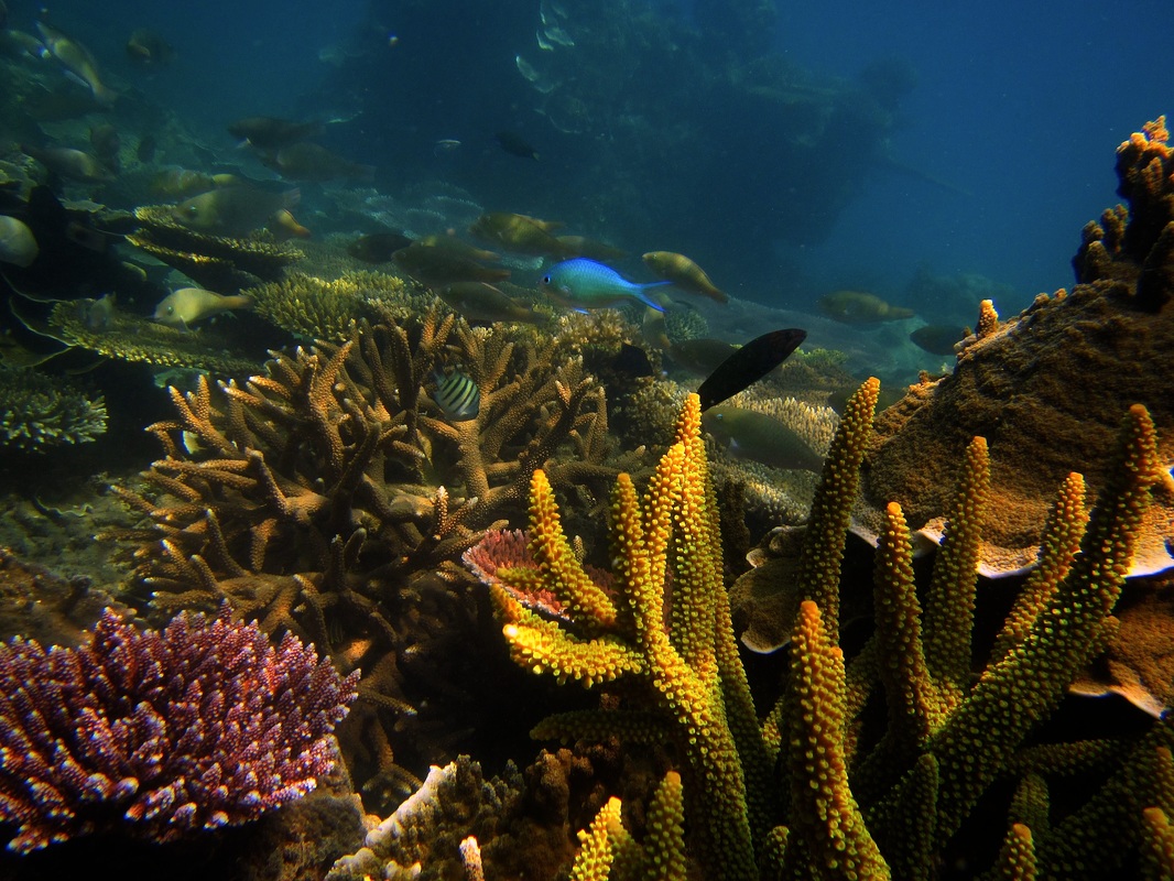 Merapas Expedition 283
