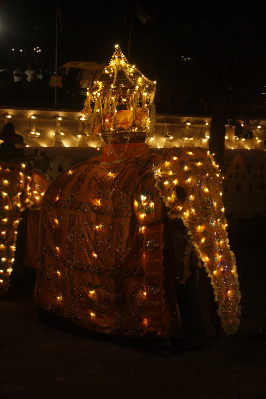 Sri Lanka — Buddha Tooth Relic celebration 13