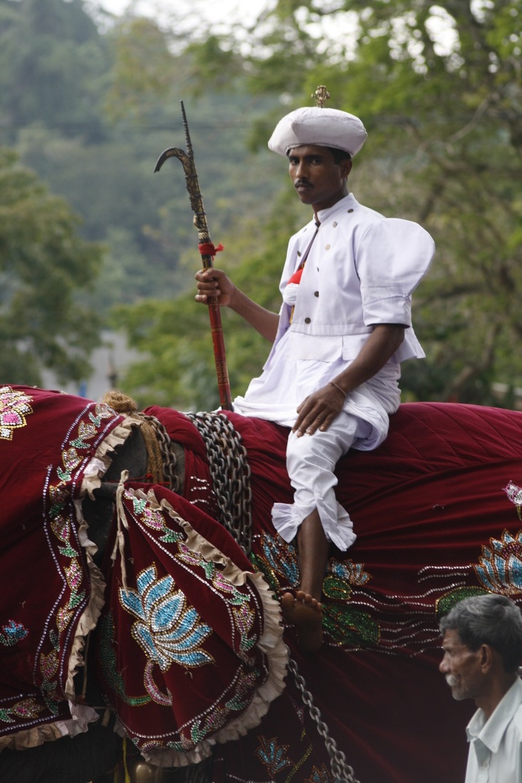Sri Lanka — Buddha Tooth Relic celebration 14
