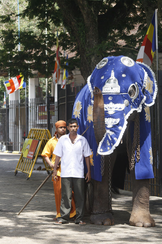 Sri Lanka — Buddha Tooth Relic celebration 17