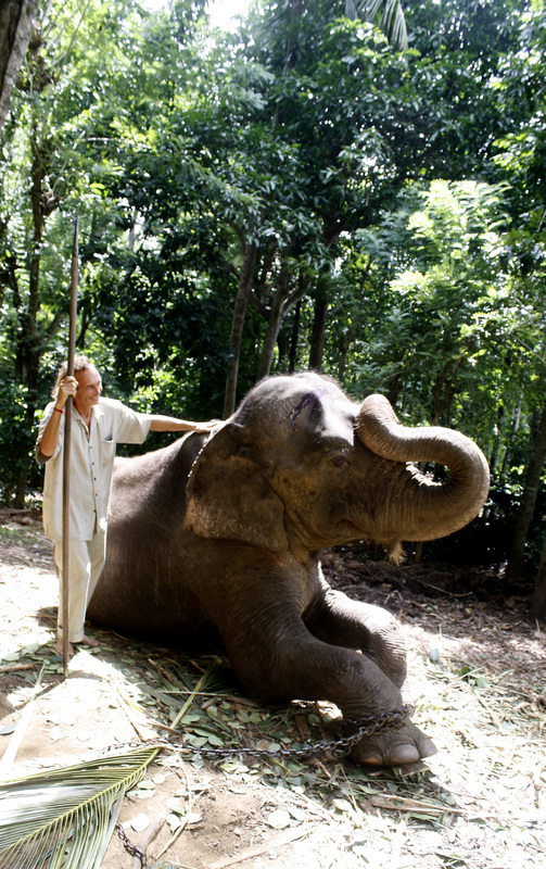 Sri Lanka — Buddha Tooth Relic celebration 20