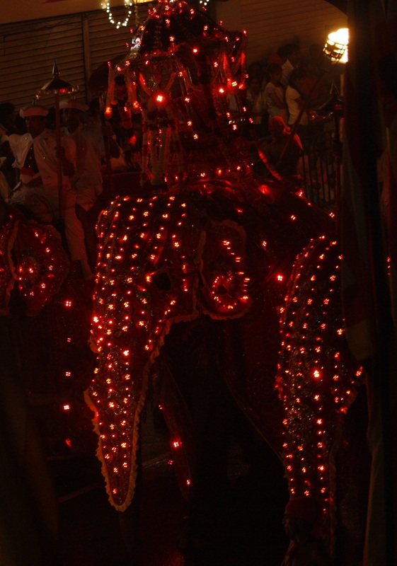 Sri Lanka — Buddha Tooth Relic celebration 31