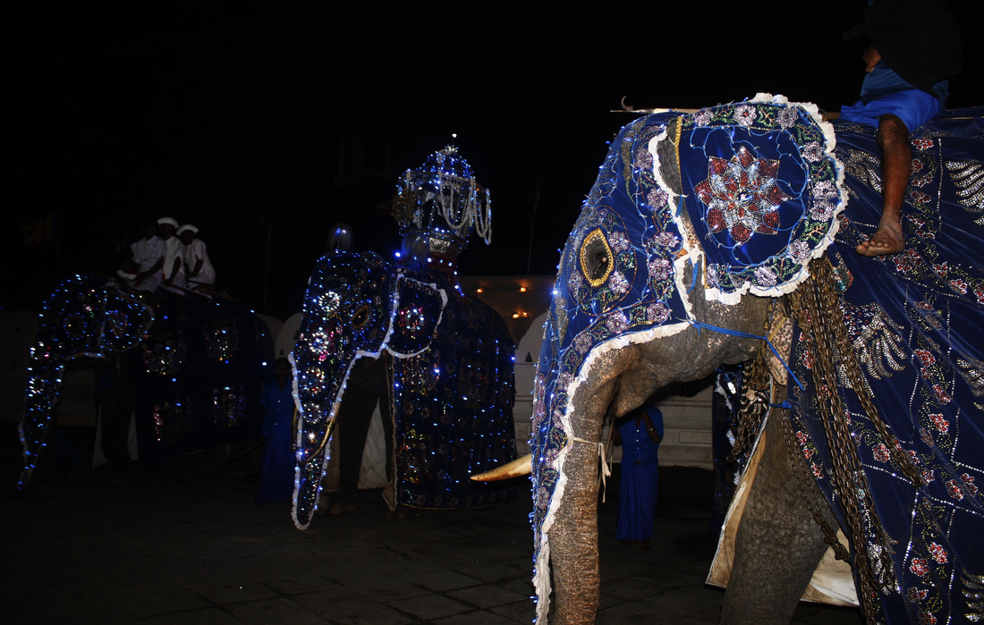 Sri Lanka — Buddha Tooth Relic celebration 36